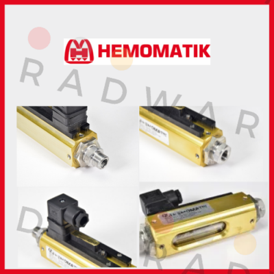 Hemomatik logo