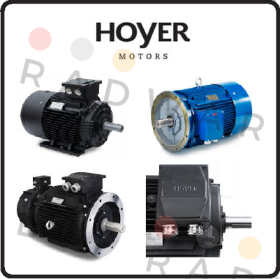 Hoyer Motors logo