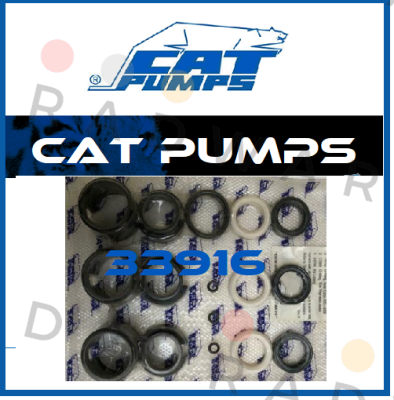 Cat Pumps-33916 price