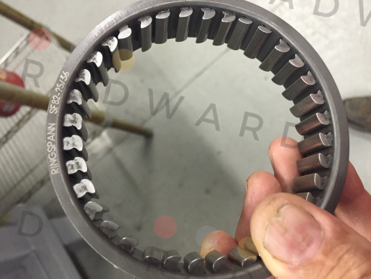 Ringspann-p/n: 3673-082020-000000, Type: SF 82-25/36P price