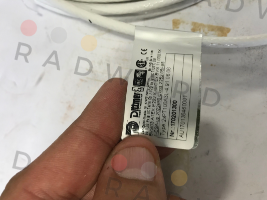 Dittmer-PT100 (D170201300)  price