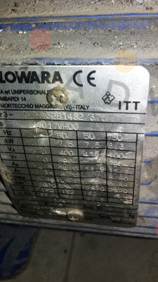 Lowara-PLM132B14S2/375   TYPE: 56017VH00 price