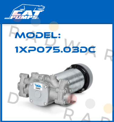 Cat Pumps-Model: 1XP075.03DC price