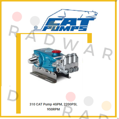 Cat Pumps-310  price