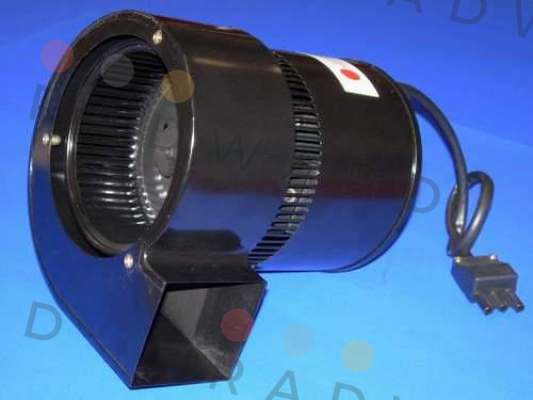 Torin-Sifan-F61- 00300-03  price