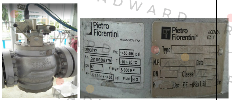 Pietro Fiorentini-4903651  price