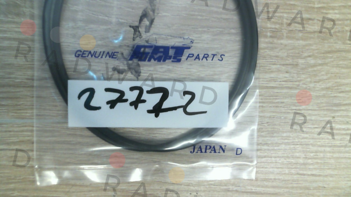 Cat Pumps-27772 price