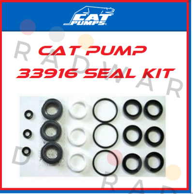 Cat Pumps-33916 price