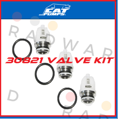 Cat Pumps-30821 price