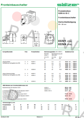 Salzer-H263-41300-033V4 price