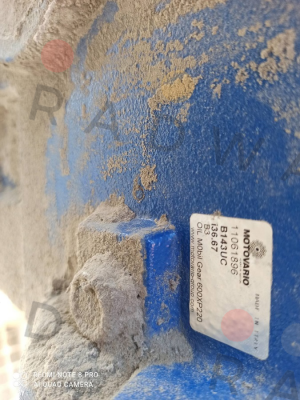 Motovario-4083751 price