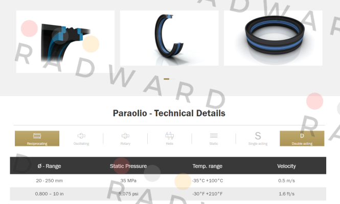 Polypac-DBM248185 price