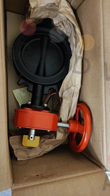 Tyco Fire-59300W060WS price