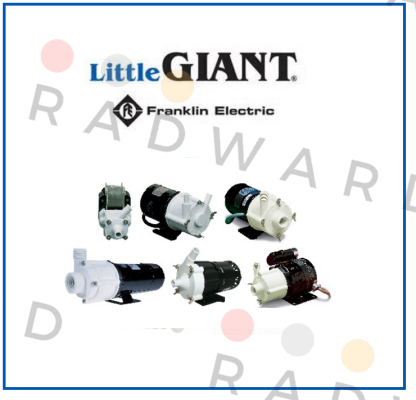 Little Giant-LITTLE GIANT-2E-N price