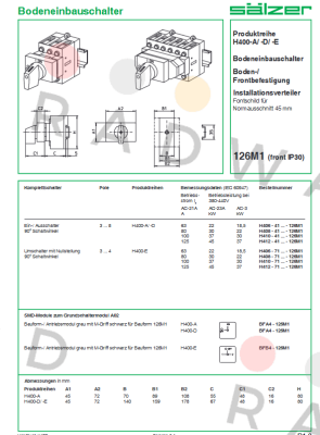 Salzer-H410-41300-126M1 price