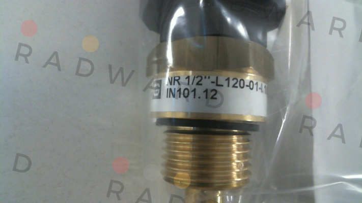 Goldammer-IN101.12   NR 1/2" - L120-01 price