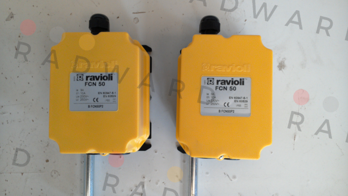 Ravioli-BFCN50 P2 price