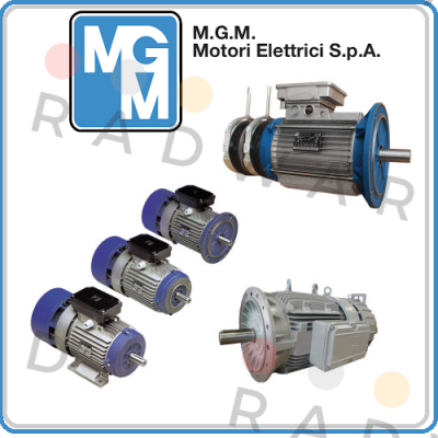 M.G.M MOTORI-BAX 132 MA4 kw 7,5 price