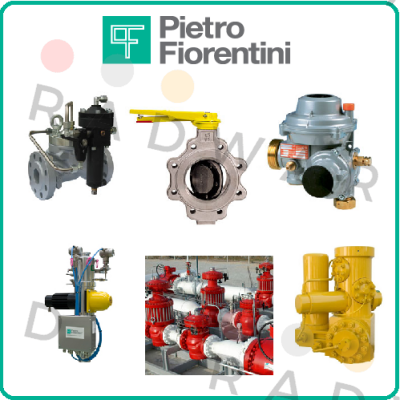 Pietro Fiorentini-Dival 250/G DN 50 price