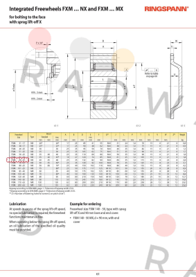 Ringspann-P/N: 4867-066300-040H33, Type: FXM 66-25 NX price