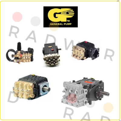 General Pump-GP R3XLP/230 price