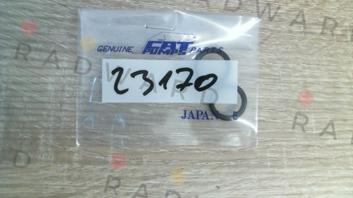 Cat Pumps-23170 price
