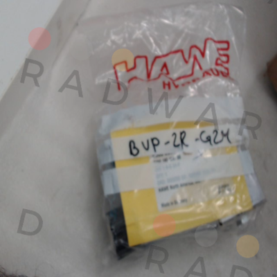Hawe-BVP-2R-G24 price