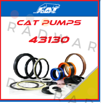 Cat Pumps-43130 price